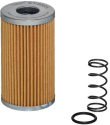Hengst Filter Filtru, sistem hidraulic primar HENGST FILTER EY886H D392 (EY886H D392)
