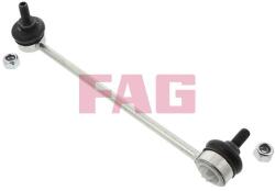 Fag Brat/bieleta suspensie, stabilizator FAG 818 0169 10 (818 0169 10)