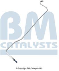 Bm Catalysts Conducta de presiune, senzor de presiune (filtru particule) BM CATALYSTS PP31282B (PP31282B)