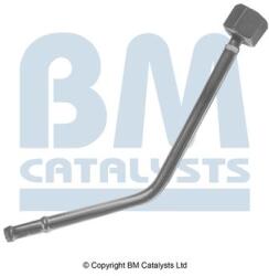 Bm Catalysts Conducta de presiune, senzor de presiune (filtru particule) BM CATALYSTS PP11090A (PP11090A)