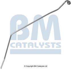 Bm Catalysts Conducta de presiune, senzor de presiune (filtru particule) BM CATALYSTS PP11567B (PP11567B)