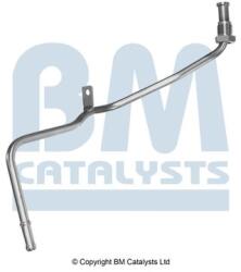 Bm Catalysts Conducta de presiune, senzor de presiune (filtru particule) BM CATALYSTS PP11005A (PP11005A)