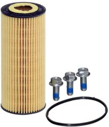 Hengst Filter Filtru cutie de viteze automata HENGST FILTER E28H D289 (E28H D289)