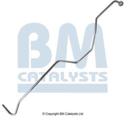 Bm Catalysts Conducta de presiune, senzor de presiune (filtru particule) BM CATALYSTS PP11029B (PP11029B)