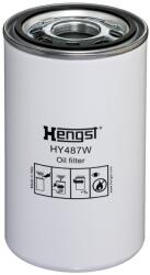 Hengst Filter Filtru, sistem hidraulic primar HENGST FILTER HY487W (HY487W)