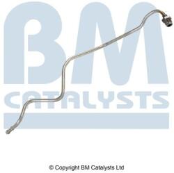 Bm Catalysts Conducta de presiune, senzor de presiune (filtru particule) BM CATALYSTS PP15058B (PP15058B)