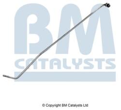 Bm Catalysts Conducta de presiune, senzor de presiune (filtru particule) BM CATALYSTS PP11629B (PP11629B)