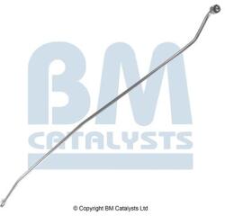 Bm Catalysts Conducta de presiune, senzor de presiune (filtru particule) BM CATALYSTS PP11016B (PP11016B)