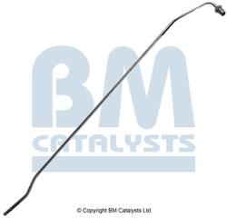 Bm Catalysts Conducta de presiune, senzor de presiune (filtru particule) BM CATALYSTS PP31041A (PP31041A)