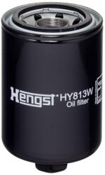 Hengst Filter Filtru, sistem hidraulic primar HENGST FILTER HY813W (HY813W)