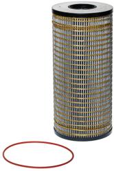 Hengst Filter Filtru, sistem hidraulic primar HENGST FILTER EY892H D393 (EY892H D393)