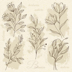  Virág Beige Illustration szalvéta 20 db-os 33x33 cm (PKK057333) - sandori