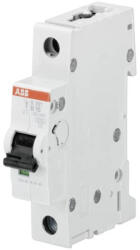 ABB 2CDS251001R0025 1B 2 A 10 kA kismegszakító (2CDS251001R0025)