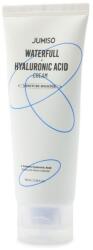 Jumiso Waterfull Hyaluronic hidratáló arckrém, 100 ml