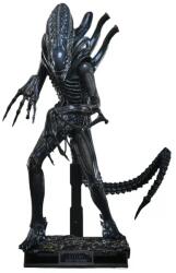 Hot Toys Figurină de acțiune Hot Toys Movies: Alien - Războinic Alien, 39 cm (HOT915785) Figurina