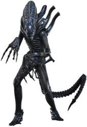 Hot Toys Figurină de acțiune Hot Toys Movies: Alien - Războinicul Alien (Versiunea Deluxe), 39 cm (HOT9157852) Figurina