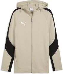 PUMA Teamevostripe Hooded Jacket (65994745)