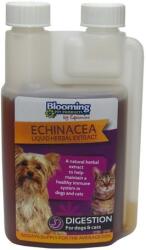 Blooming Pets Echinacea - Soluție de întărire a imunității pentru câini și pisici 250 ml