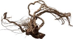INVITAL Dragon wood 90-120cm (ID Z03519)