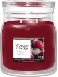 Yankee Candle Woodland Spice Signature 368 g