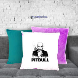  Pitbull plüss párnahuzat (több színben)