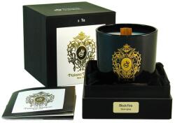 Tiziana Terenzi Black fire illatgyertya 170g