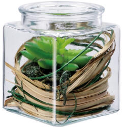 AdTrend Aranjament plante suculente si piatra II 10 x 10 x 13 cm (114091B)