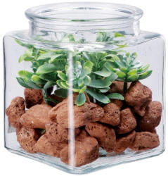 AdTrend Aranjament plante suculente si piatra 10 x 10 x 13 cm (114091A)