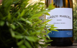 BUKOLYI CSALÁDI BIRTOK Spring Riesling 2025 (0, 75L 12, 5%)