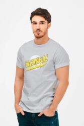 D&B Férfi/Unisex Póló MO00006 TheBigBangTheory Szürke-Méret M (MO00006TheBigBangTheoryRsSportM)