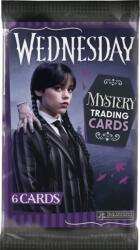 PANINI WEDNESDAY - cărți Figurina