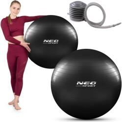 Neo-Sport Minge de fitness 75 cm NS-952 neagră + pompă (NS-952) Minge fitness