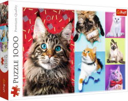 Trefl PUZZLE TREFL 1000 PISICUTE FERICITE (VIVA-10591) Puzzle