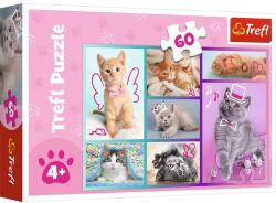 Trefl PUZZLE TREFL 60 PISICUTE DRAGUTE (VIVA-17373) Puzzle