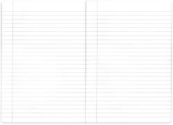 Herlitz Caiet A5, 48 file, HERLITZ Megamix 2 dictando