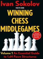 New in Chess Winning Chess Middlegames