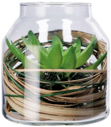 AdTrend Plante suculente artificiale in borcan II 14 x 16 cm (114092B)