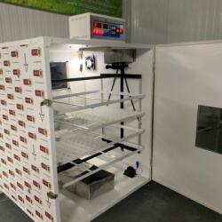 Clocitoarea Ideală Incubator IP-4