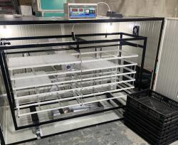 Clocitoarea Ideală Incubator Automat IP-6D
