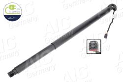 AIC Motor electric, haion AIC 75644 (75644)