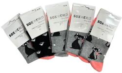 Soxworld Marina Női orrvarrás nélküli mintás zokni, 95 % pamut 5 % elasztán 5 pár Cicás 35-38