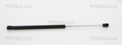 TRISCAN Amortizor, luneta TRISCAN 8710 18231 (8710 18231) - fixbox