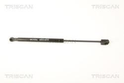 TRISCAN Amortizor, luneta TRISCAN 8710 25247 (8710 25247) - fixbox
