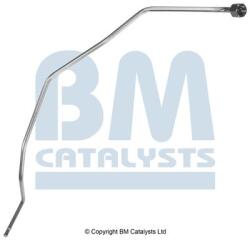 Bm Catalysts Conducta de presiune, senzor de presiune (filtru particule) BM CATALYSTS PP11094A (PP11094A)