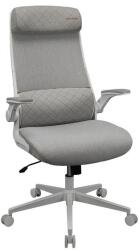 COUGAR Scaun Ergonomic de Gaming COUGAR Stryder, Max 120 kg, Tetiere reglabila larga, Spuma (Alb) (CGR-STD-ASW)