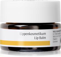 Dr. Hauschka Eye And Lip Care balsam de buze cu efect de nutritiv 4.5 ml