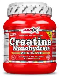 Amix Nutrition Amix Creatine Monohydrate 500g