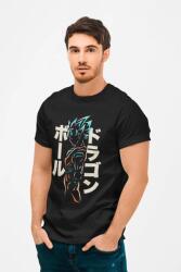 D&B Férfi/Unisex Póló AN00003 DragonBall Fekete-Méret 2XL (AN00003 DragonBall Black-Size2XL)