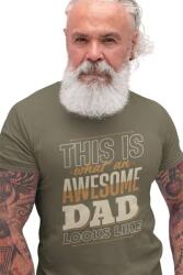 D&B Férfi/Unisex Póló ST00041 Dad Katonai zöld -Méret L