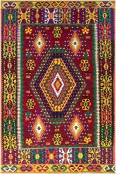 Conceptum Hypnose Carpet (80 x 120) Multicolor Els1782